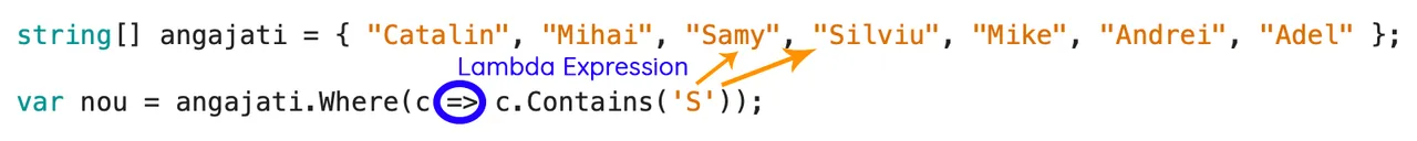 LINQ Expressions Lambda Expression