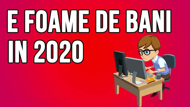 Despre programele de mentorat din IT si bișnițari